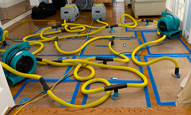 Professional Crawl Space Water Removal technician working in Avon, SD